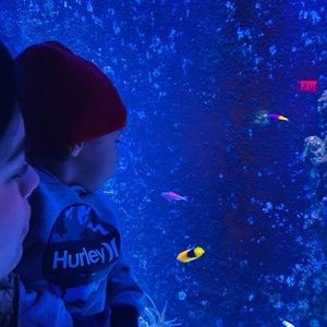 Meet your Posher, Carol